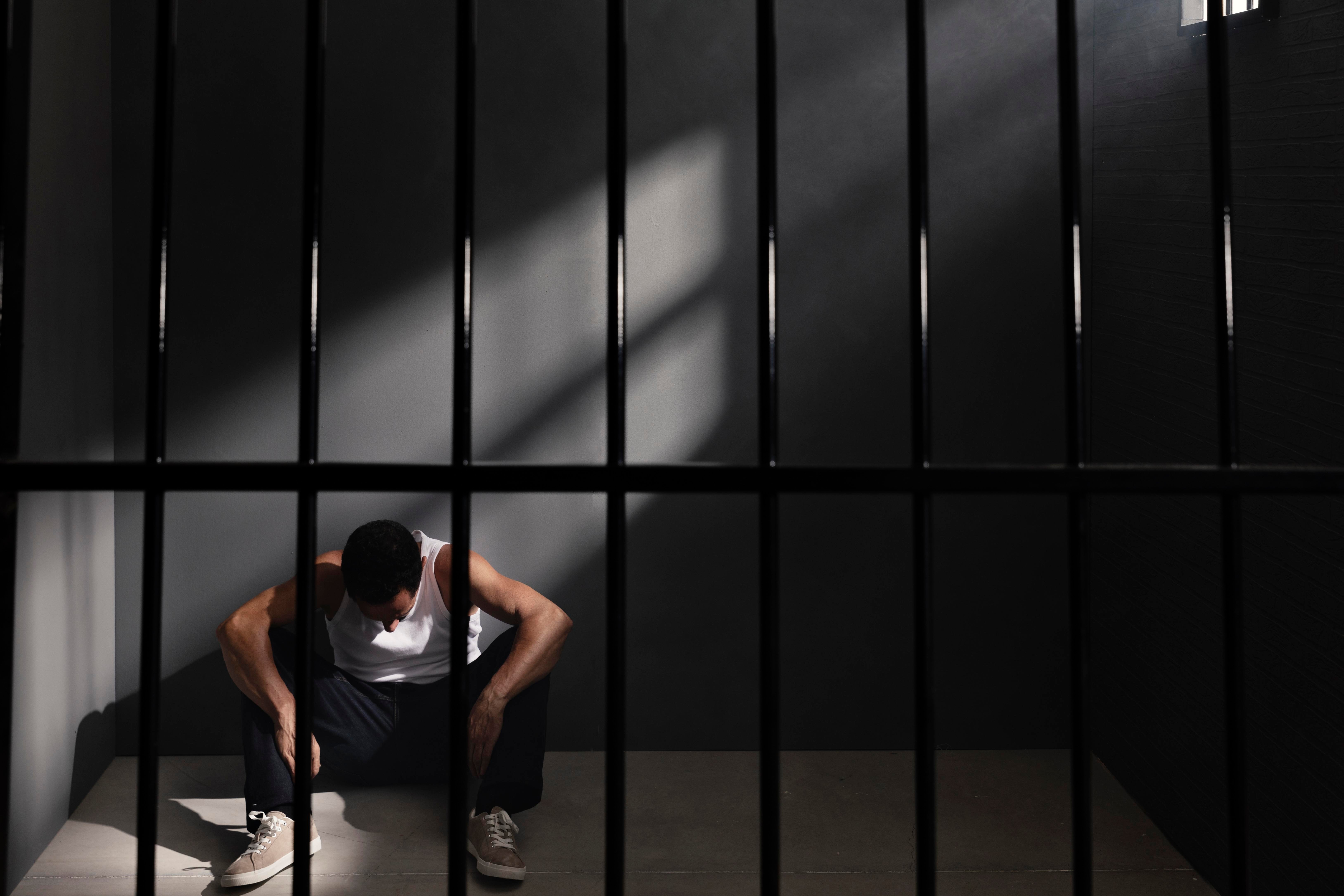 Delitos, sanciones y garantías Entendiendo el derecho penal 1