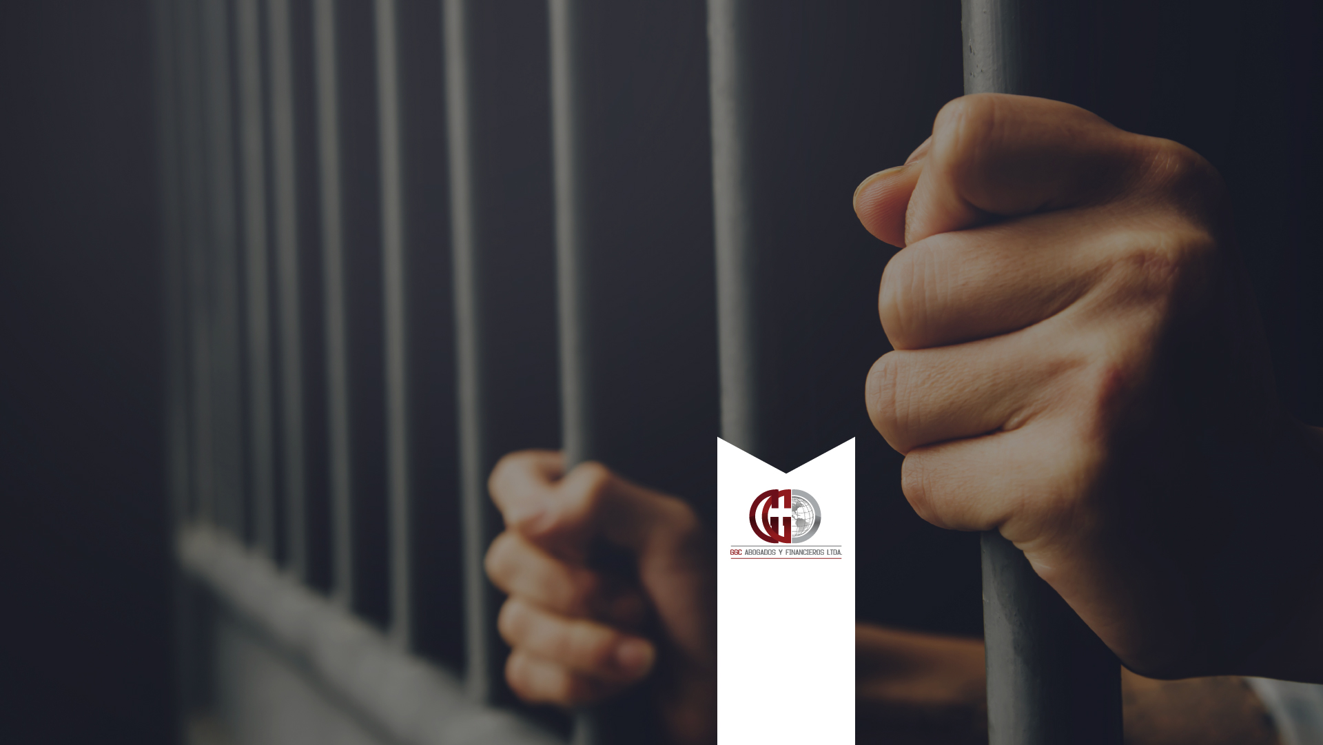 Delitos, sanciones y garantías: Entendiendo el derecho penal